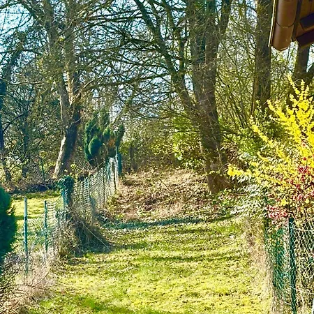 Ruhige Im Grünen - Nähe Rheinsteig